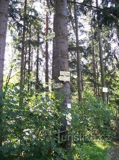 Signpost: General view of the signpost