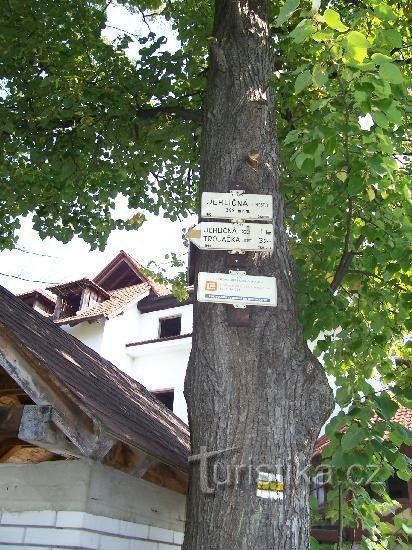 Signpost: General view of the signpost