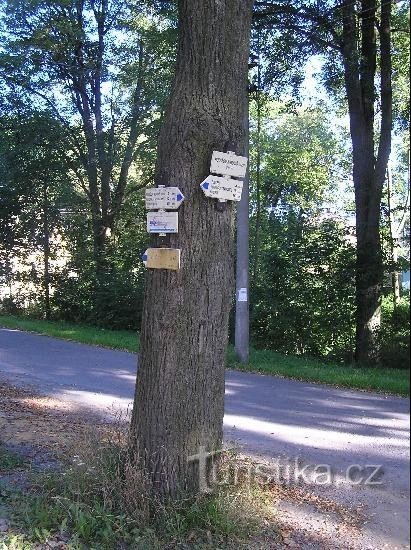 Wegweiser: Gesamtansicht des Wegweisers