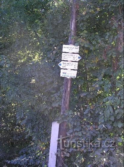 Signpost: General view of the signpost