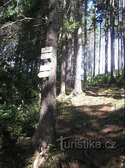 Signpost: General view of the signpost