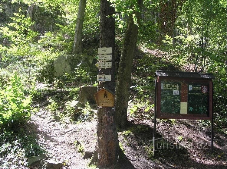 Вказівник: загальний вигляд вказівника