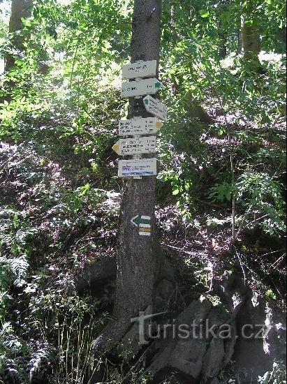 Signpost: General view of the signpost