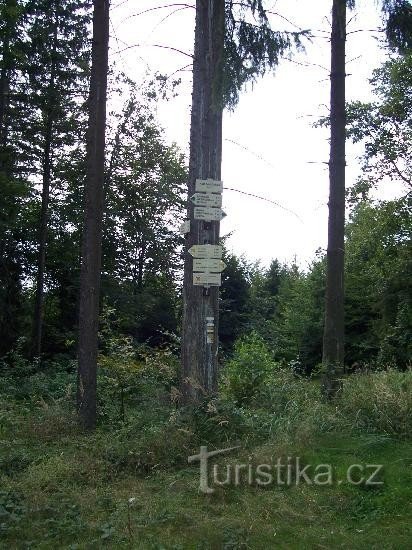 Вказівник: загальний вигляд вказівника