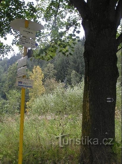 Putokaz: Opći prikaz putokaza