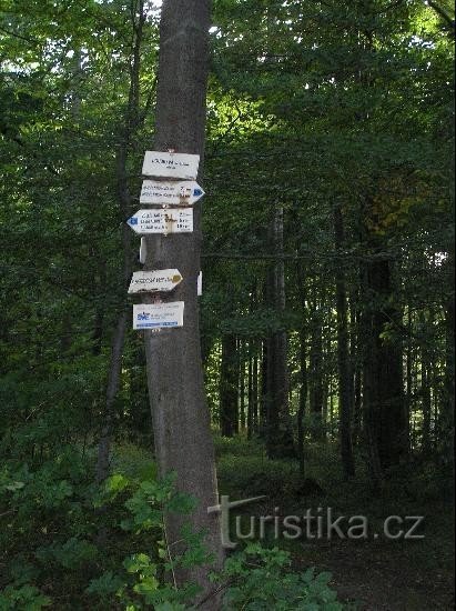 Putokaz: Opći prikaz putokaza