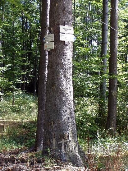 Вказівник: загальний вигляд вказівника