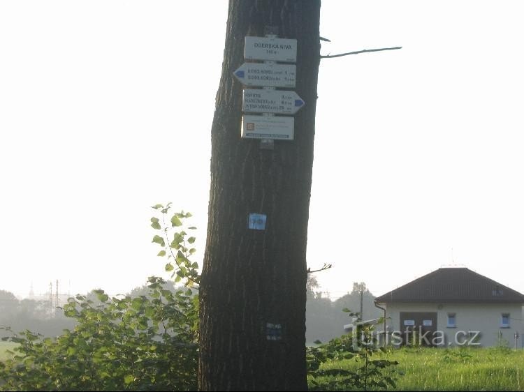 Placa de sinalização: vista detalhada da placa de sinalização