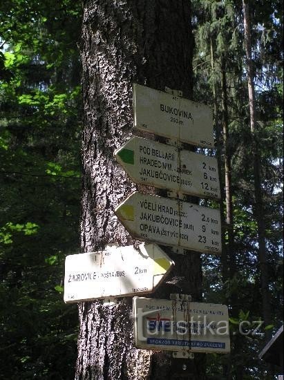 Placa de sinalização: vista detalhada da placa de sinalização do lado