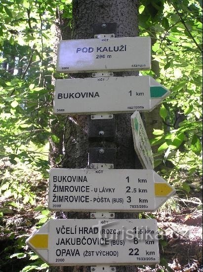 Signpost: Detailed view of the signpost from the front