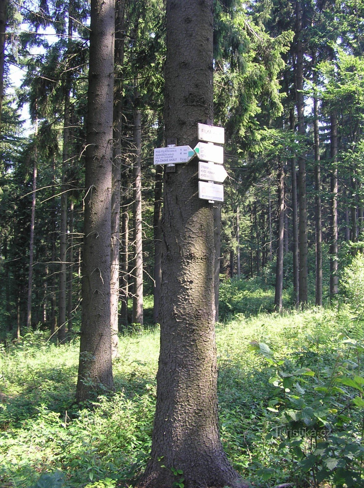 Filka signpost (July 2009)