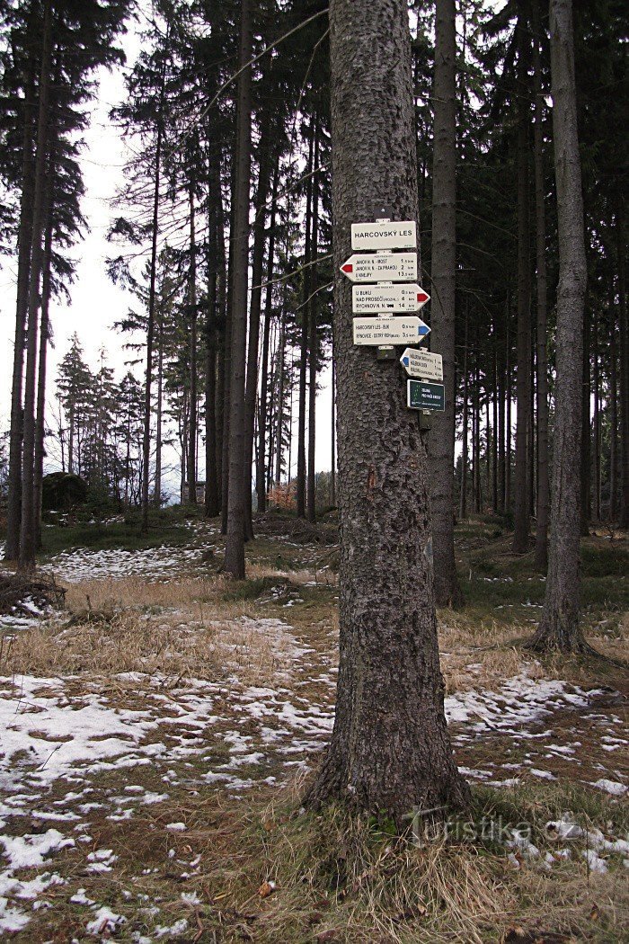 Panneau Harcovský les