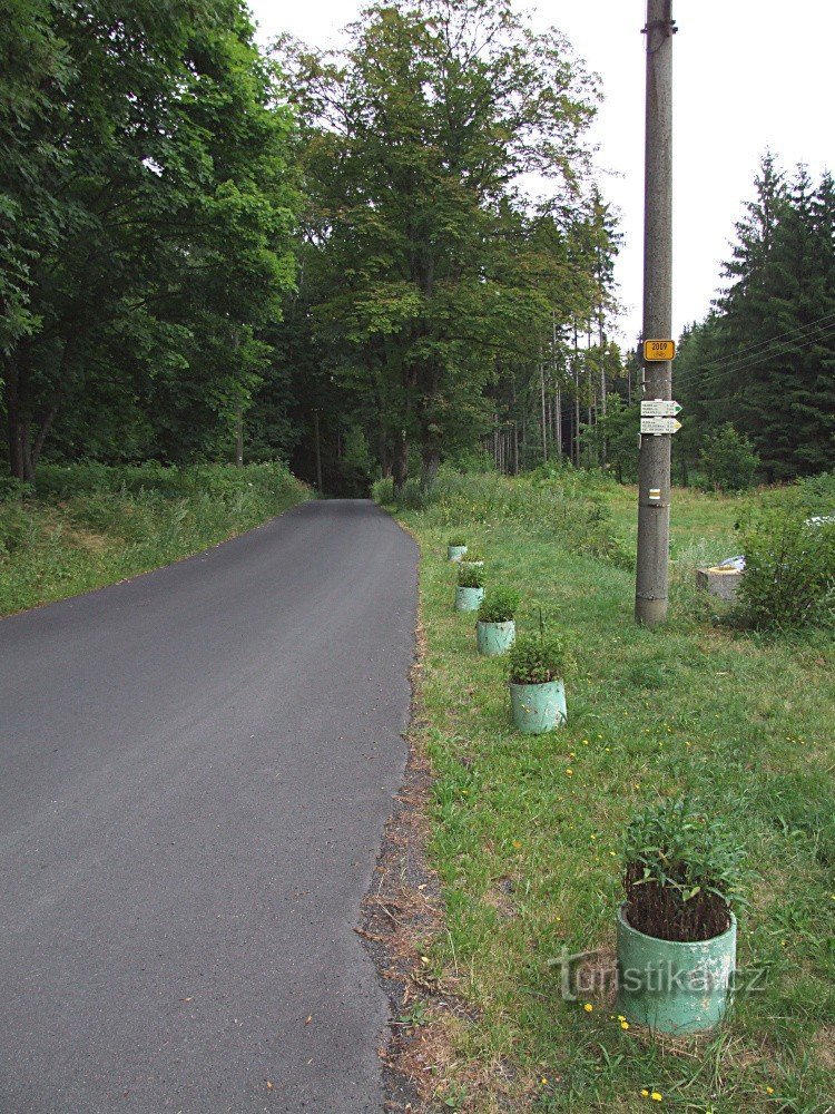 Wegweiser Schöne Aussicht