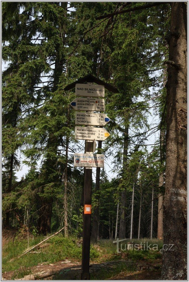 Signpost Above the Road