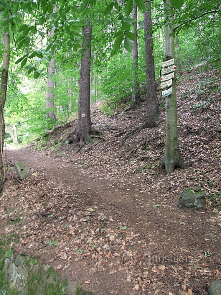 Wegwijzer afslag naar Bučina