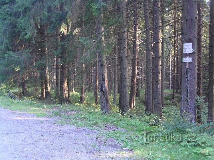 Wegweiser: Rund um den Wegweiser