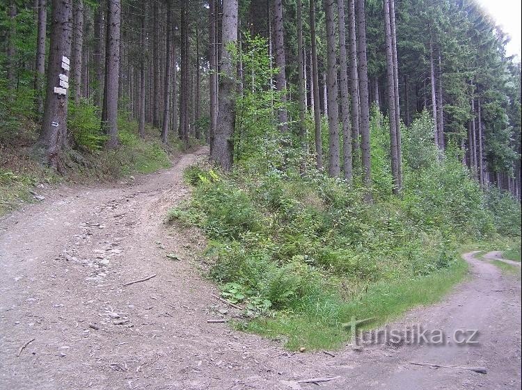 Указатель: Вокруг указателя верхняя тропа в сторону Франтишковой хаты, нижняя в сторону Железной.