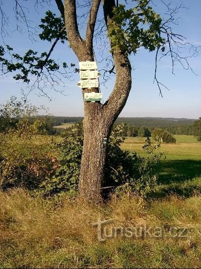 Wegweiser Planiny: Der Wegweiser befindet sich in der Nähe der Straße Nr. 2147 im Dorf Planiny.