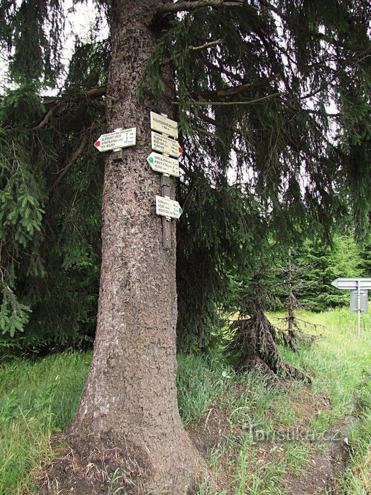 Wegwijzer onder Blatenský vrchem