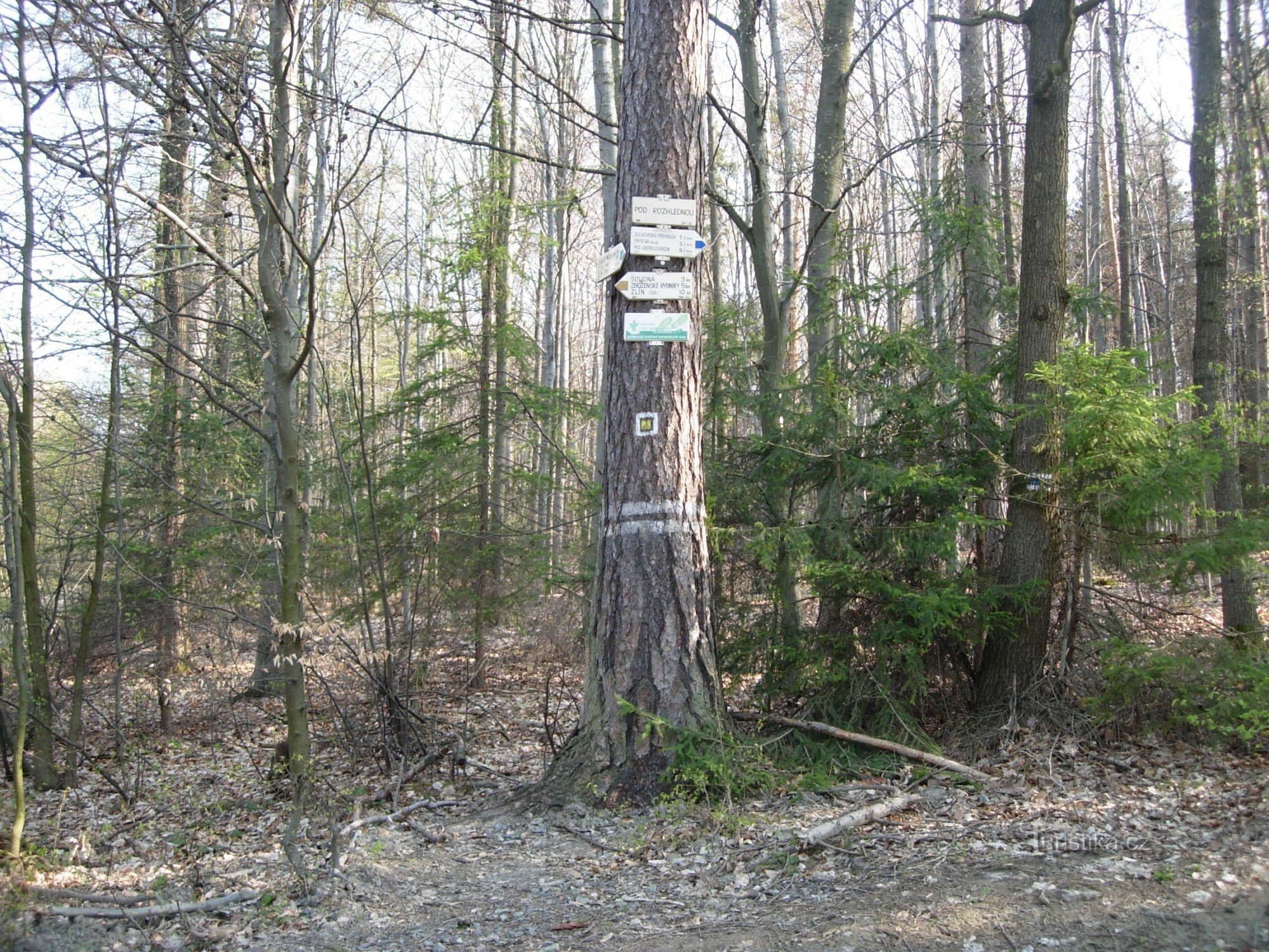 signpost Under the lookout