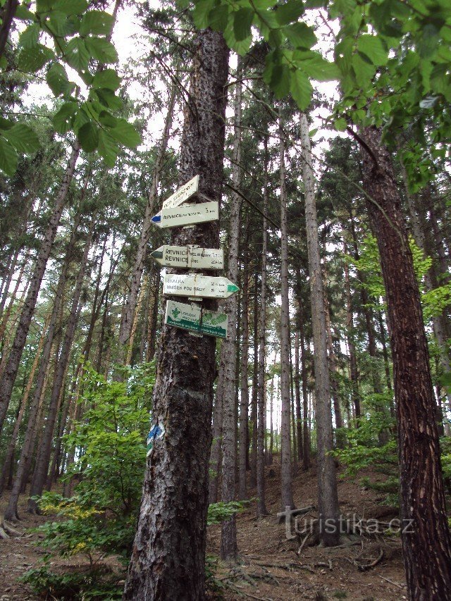 signpost under Strážný