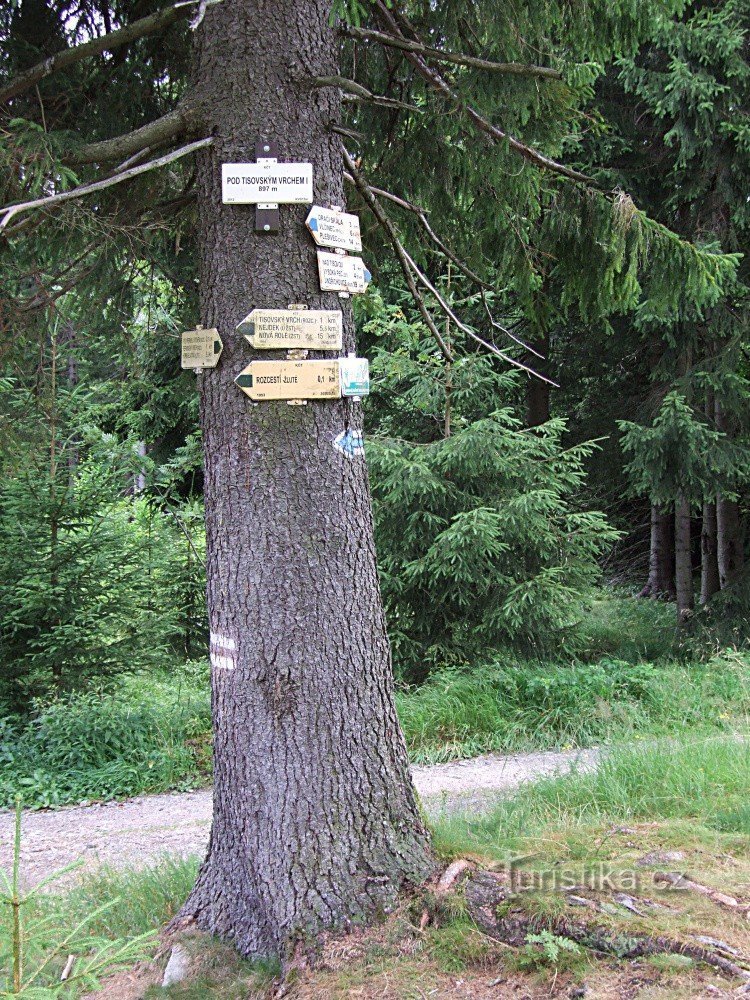 Drogowskaz pod Tisovským vrchem I