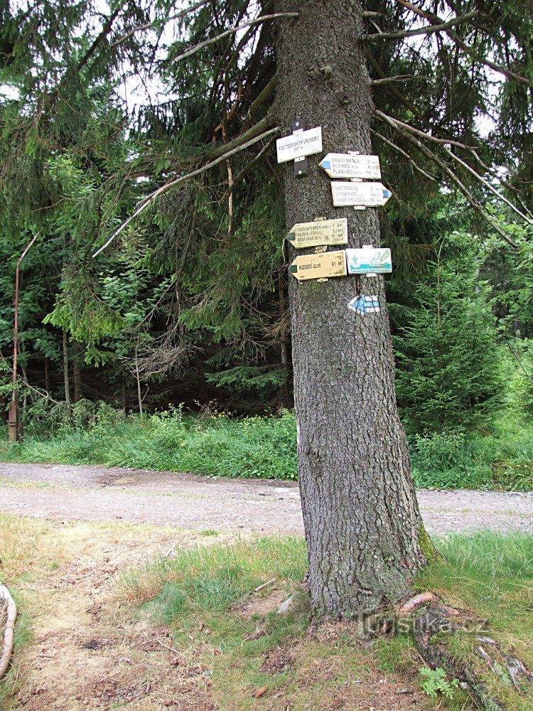 Signpost Under Tisovským vrchem I