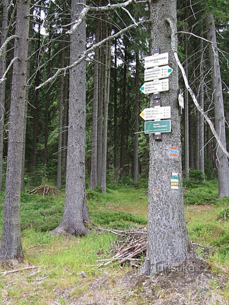 Signpost Under Tisovským Hill II