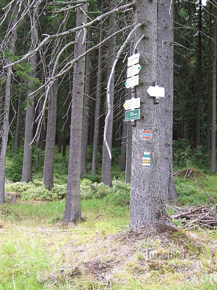Signpost Under Tisovským Hill II