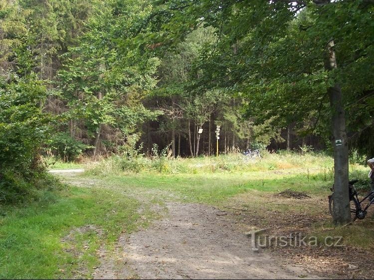 Wegwijzer: Zicht op de omgeving van de wegwijzer