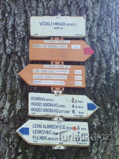 Signpost: View of the signpost from the front