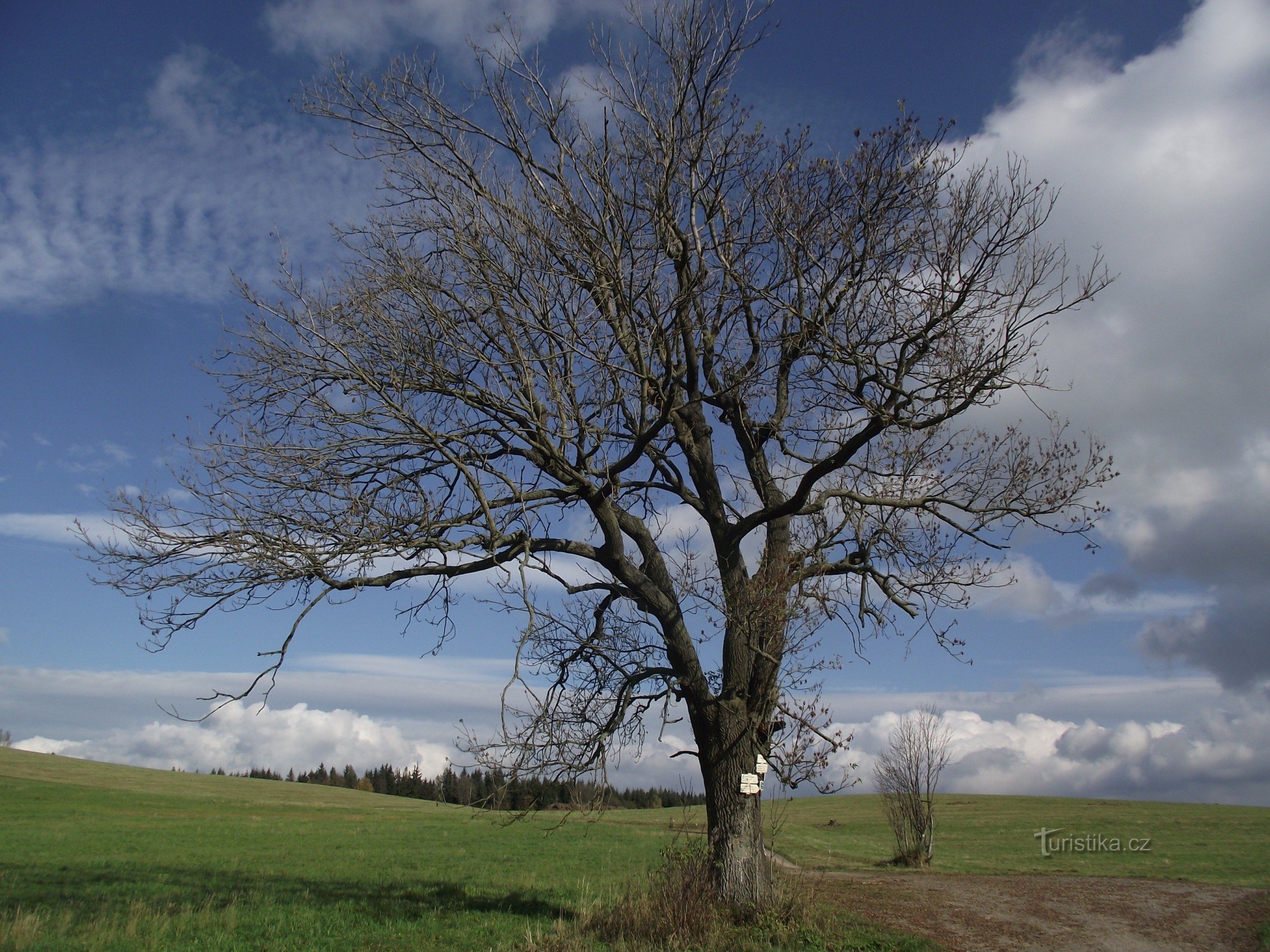 der Prameny-Wegweiser