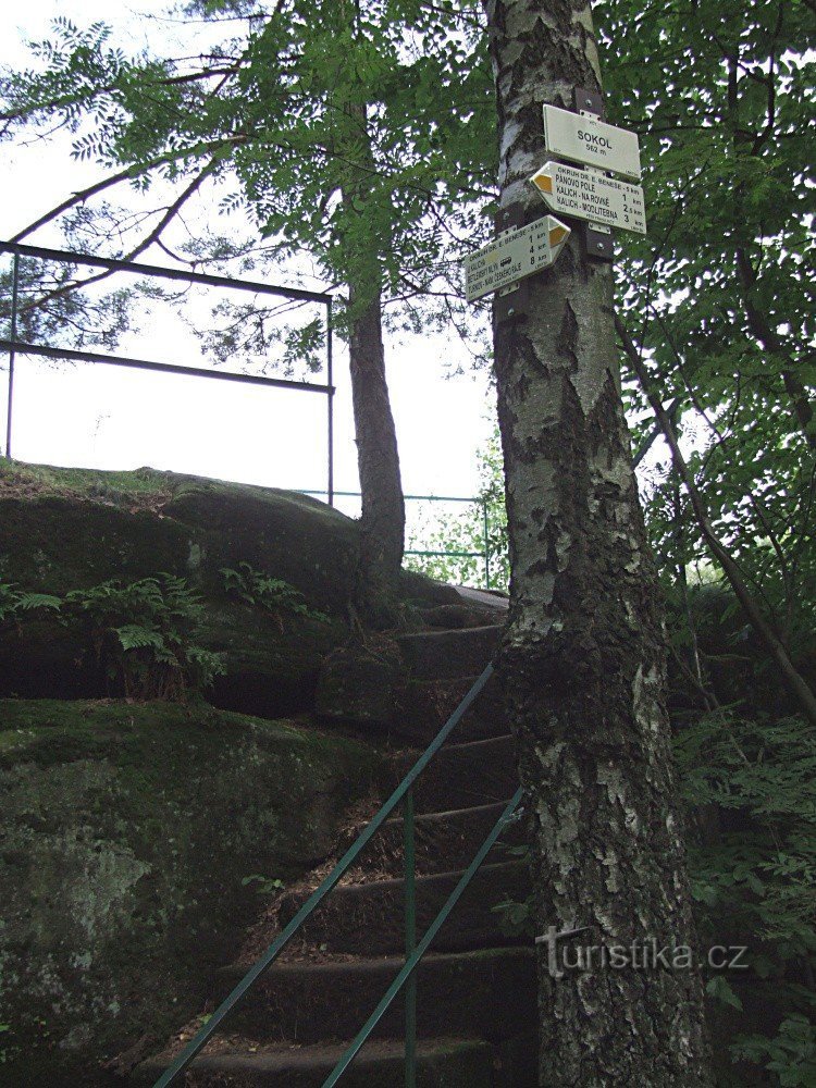 Вказівник «Сокіл».