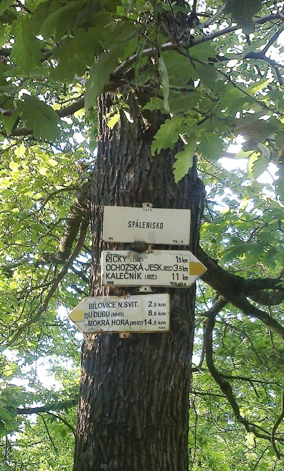 Placa de sinalização do crematório