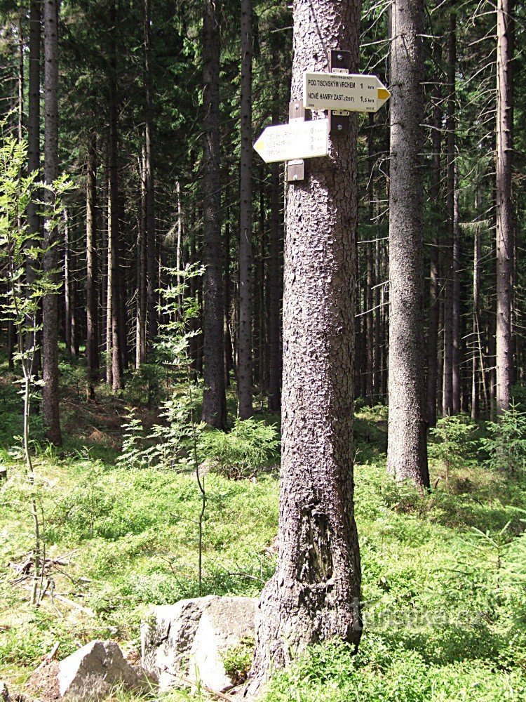 Segnaletica Tisovský vrch - incrocio