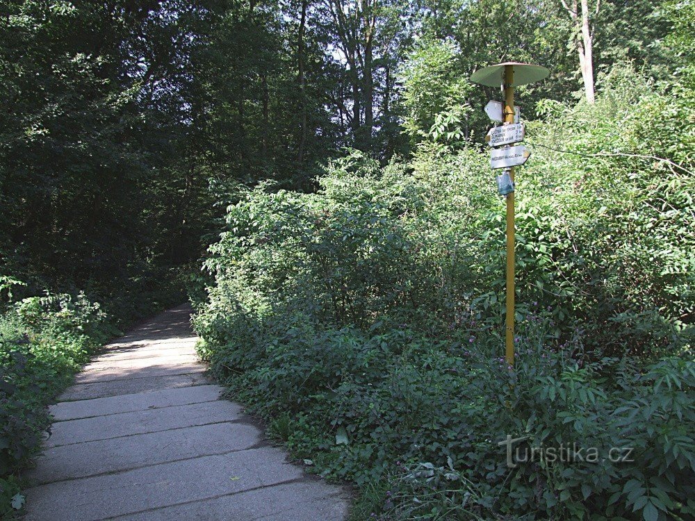 Traviska signpost