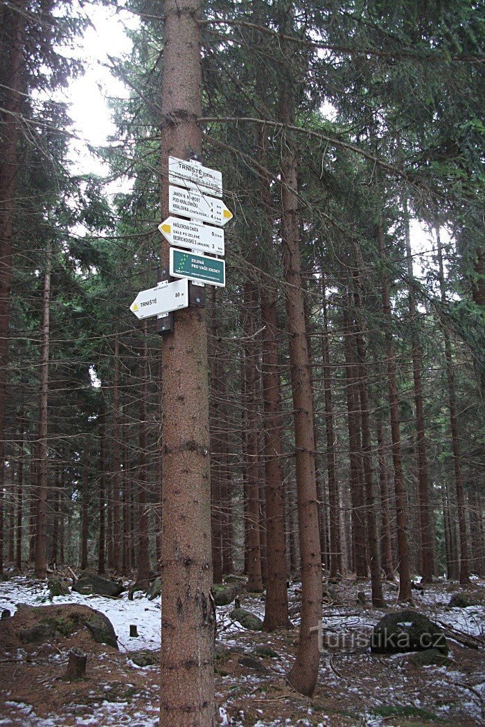 Wegweiser Trniště - Abzweigung