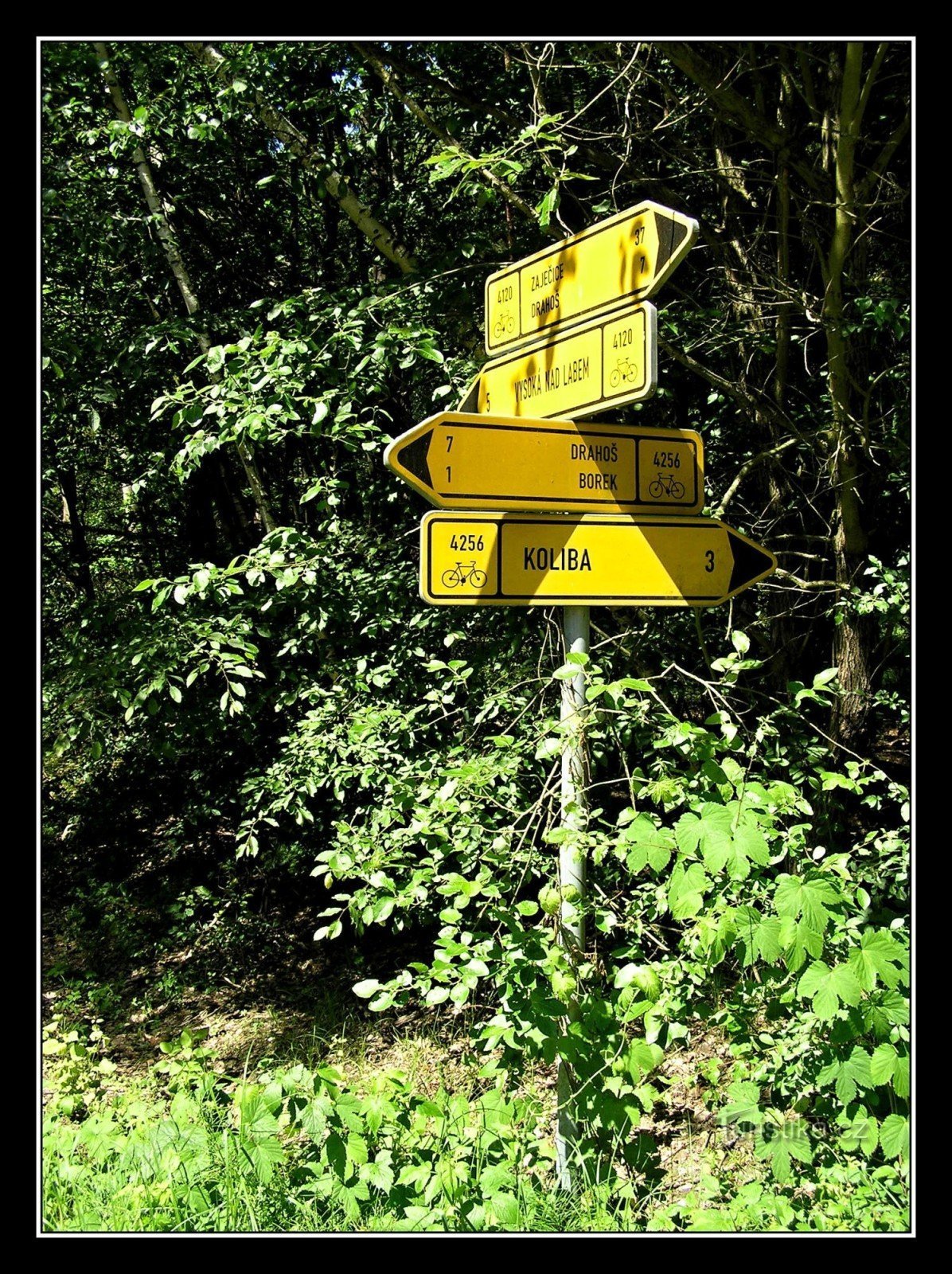 panneau près du village de Borek