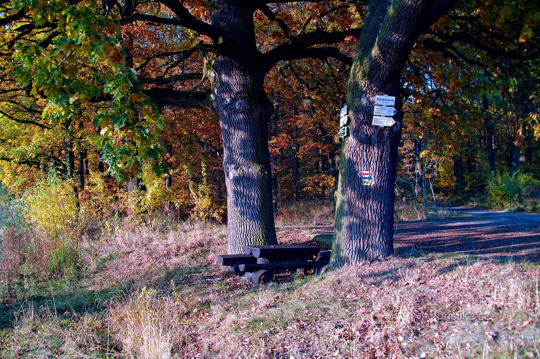 Signpost at Řídečská myslivna