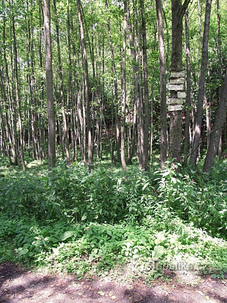 Wegweiser Am Svatošské skal