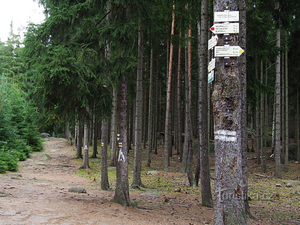 Wegweiser Uhlířská louka