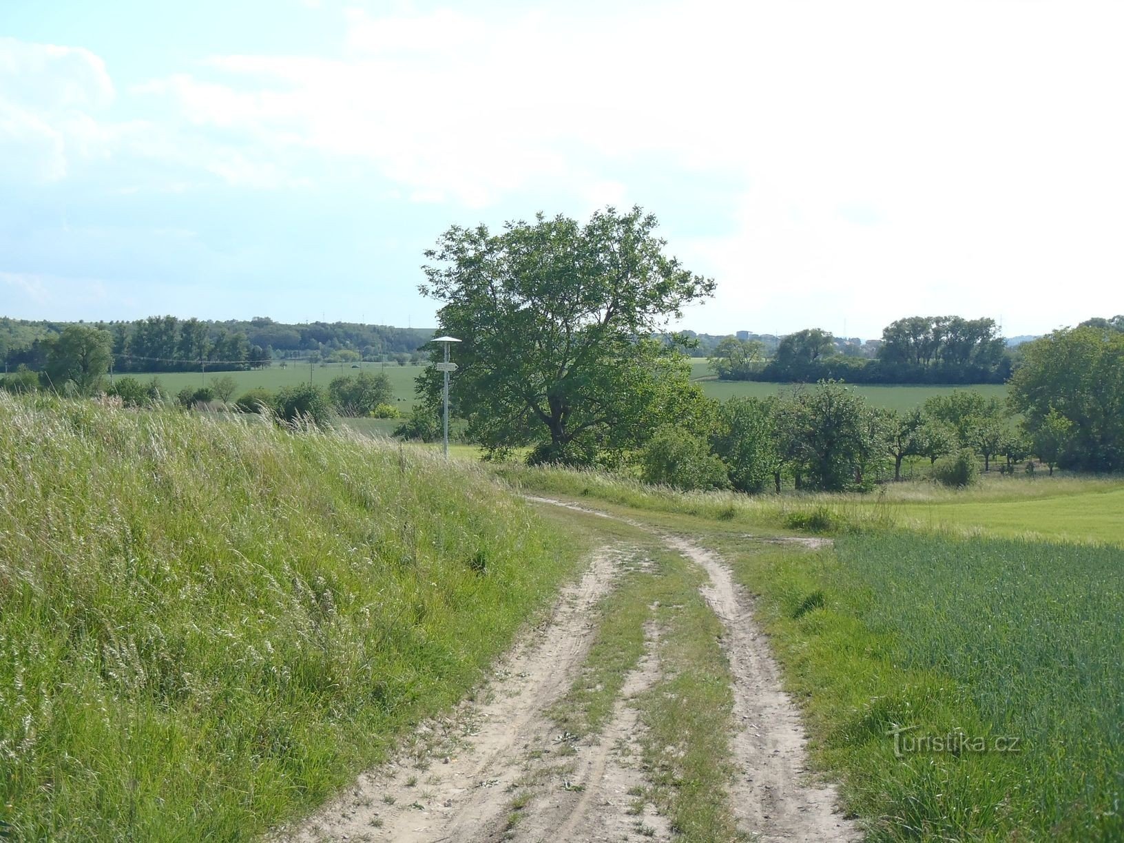 Panneau Zahrádky - vue depuis la route de Slavkov u Brno - 2.6.2012