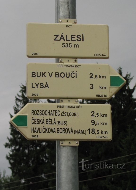 Forest signpost