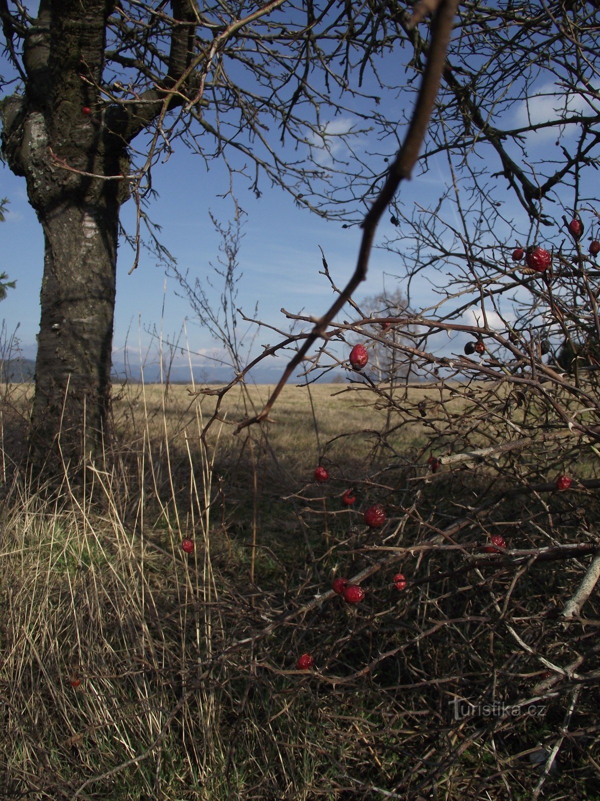 Putokazi na Vápenicama ili zanimljivost marke