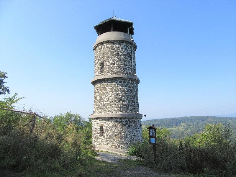 Bučina