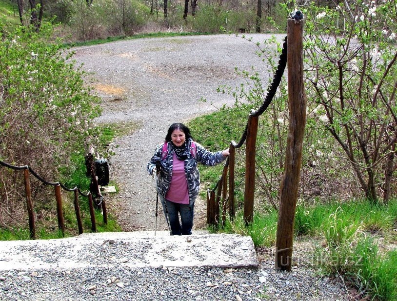 Floriánka observationstorn, dekoration av skogsparken Skala nad Polešovice