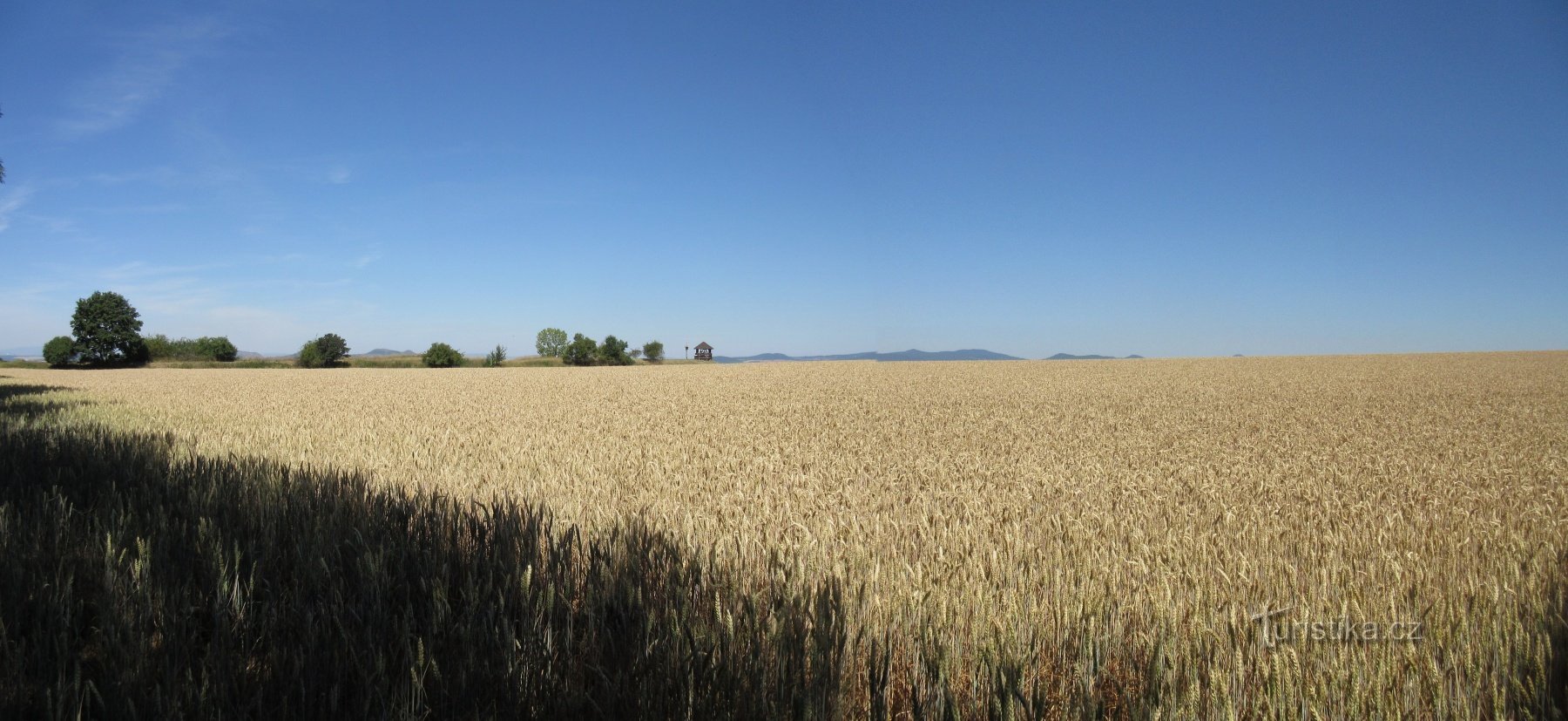 The observation tower can soon be seen in the distance