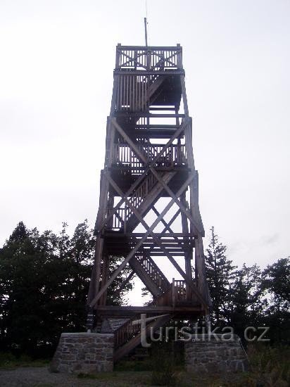 lookout tower on the hedgehog: view of the lookout tower
