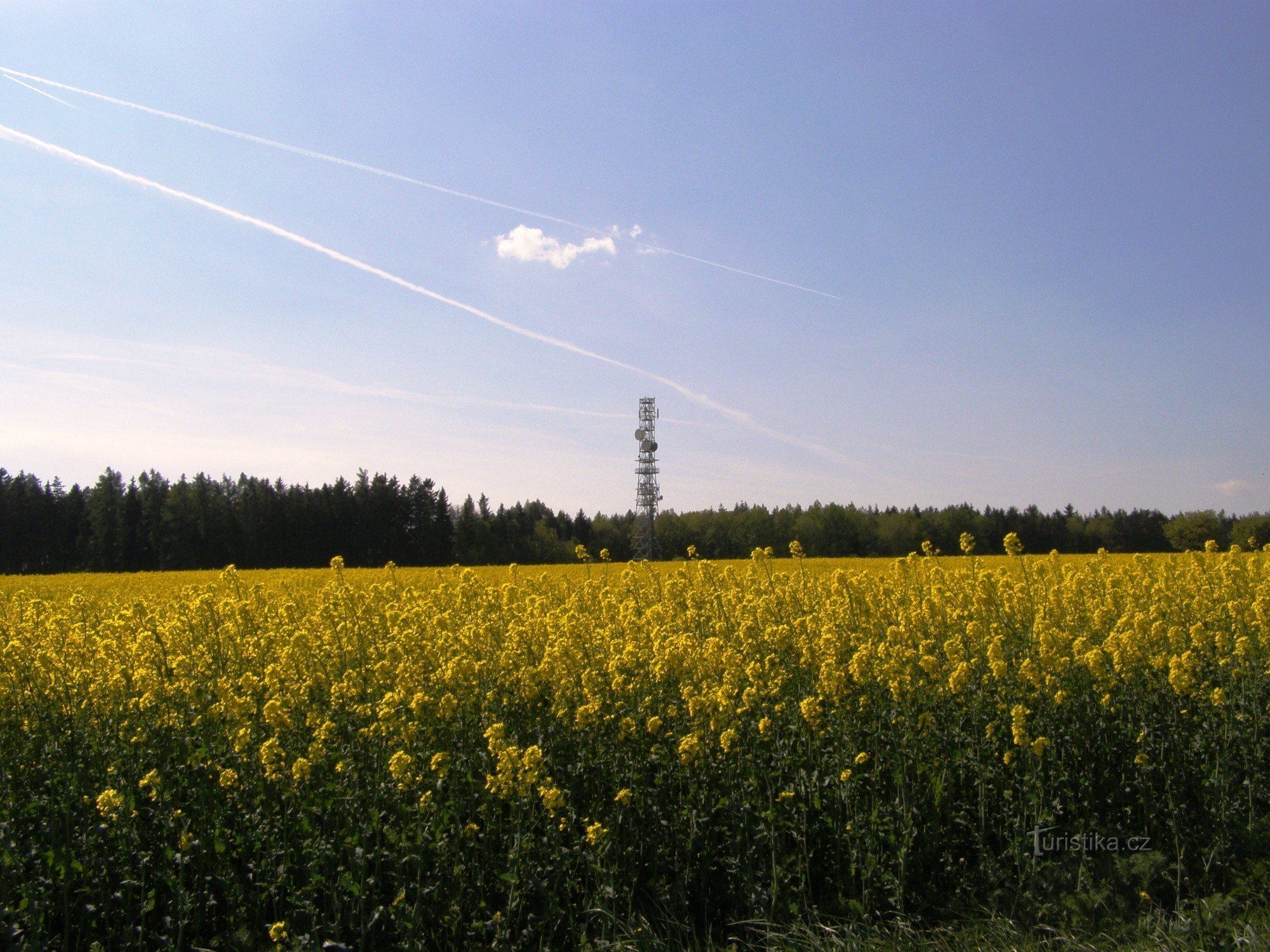 Osičina lookout tower