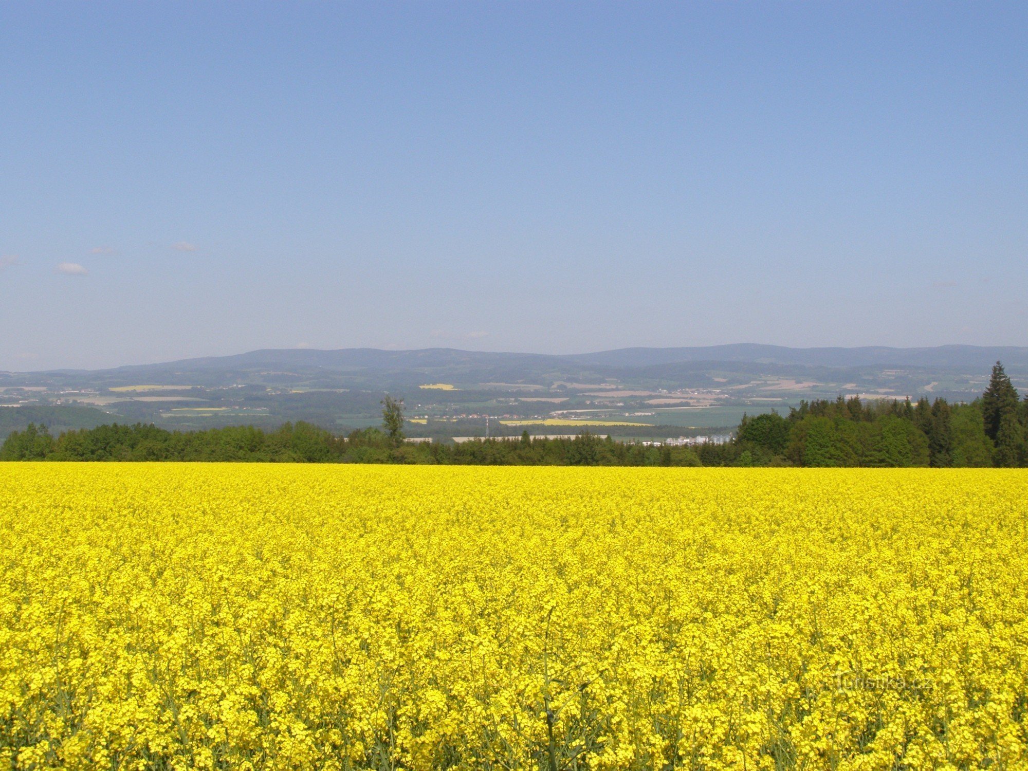 Osičinas utsiktstorn - utsikt över Orl. berg